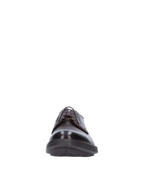 Laced shoes Dark brown ALEXANDER TREND | AMN013_ALEXTESTA DI MORO