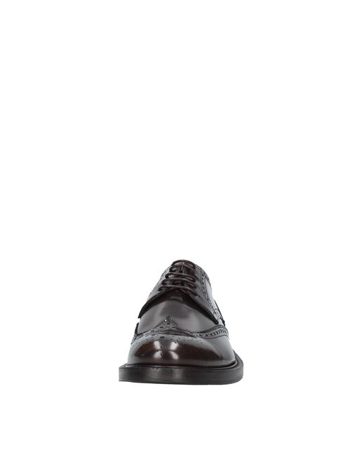 Laced shoes Dark brown ALEXANDER TREND | VF1913_TRENTESTA DI MORO