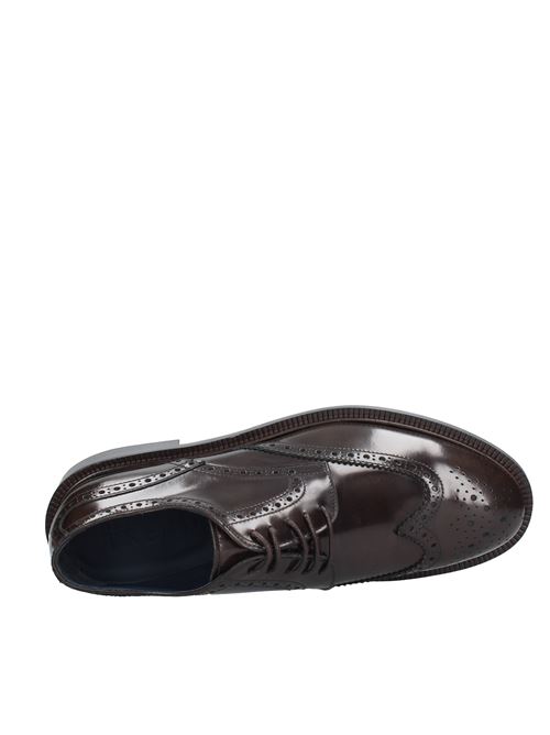 Laced shoes Dark brown ALEXANDER TREND | VF1913_TRENTESTA DI MORO