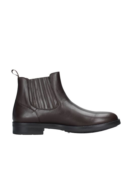 Ankle boots and boots Dark brown DINO BIGIONI | VF1770_BIGITESTA DI MORO