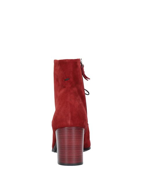 Ankle and ankle boots Bordeaux PANTANETTI | VF0242_PANTBORDEAUX