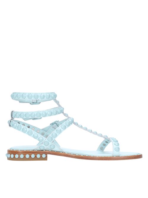 Flat sandals in leather and studs ASH | PLAY  BISAZZURRO