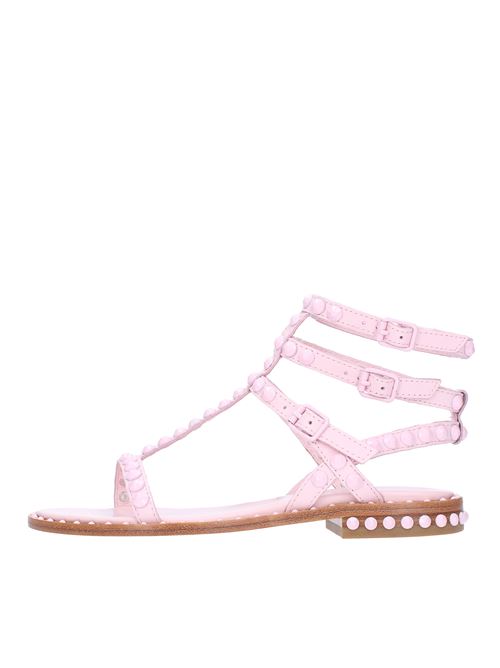 Flat sandals in leather and studs ASH | PLAY  BISROSA