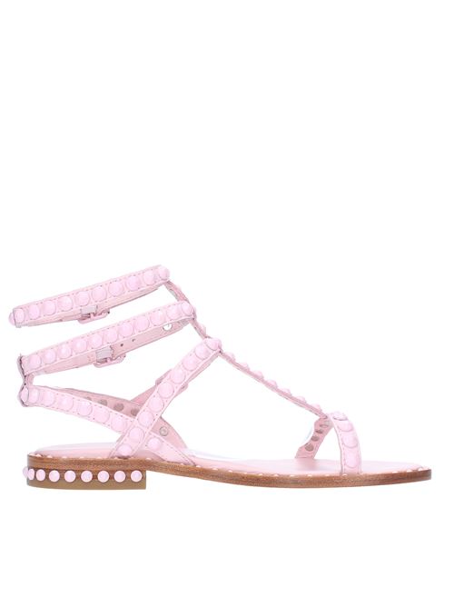 Flat sandals in leather and studs ASH | PLAY  BISROSA