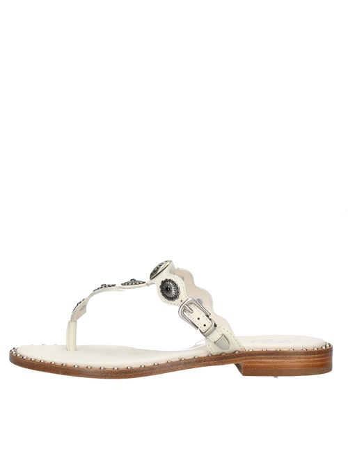 Leather thong sandals ASH | VD1073PANNA