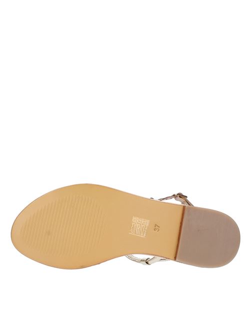 Flat thong sandals made of leather and rhinestones HADEL | 1SA447KOFMORO