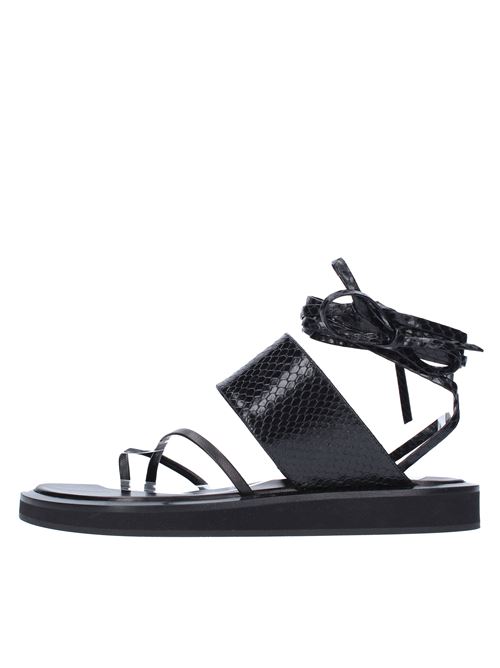 Flat thong sandals in leather PARIS TEXAS | PX568NERO