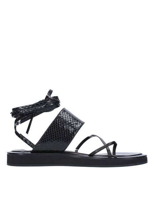 Flat thong sandals in leather PARIS TEXAS | PX568NERO