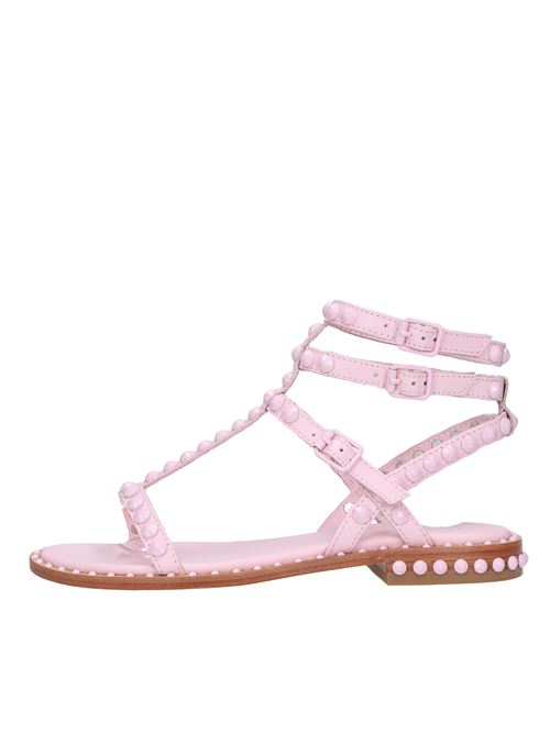 Flat leather sandals ASH | PLAY BISCRYSTAL ROSE