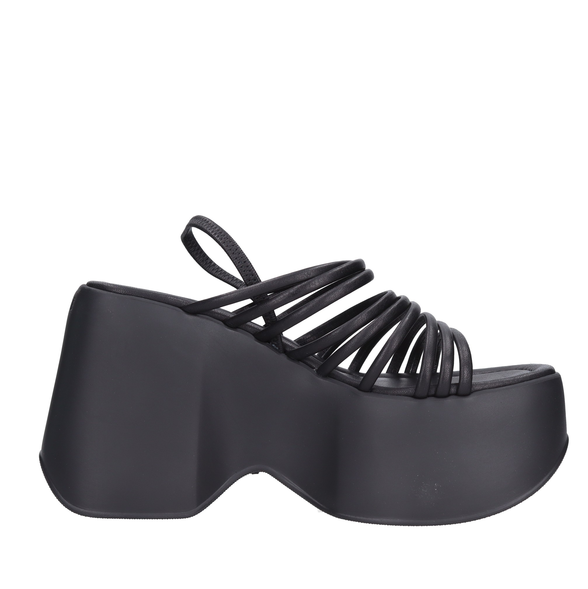 hogan pe 2019
