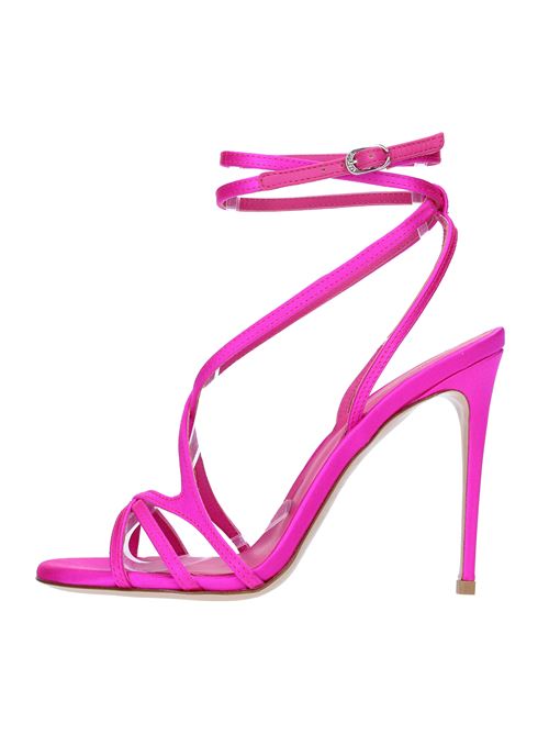 Fuchsia