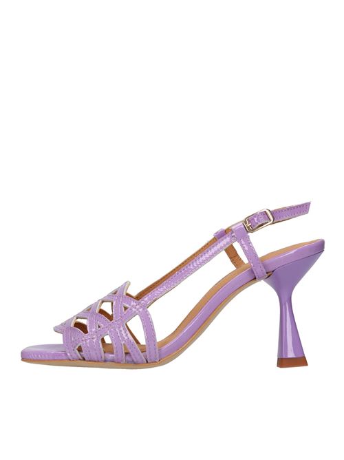 Viola