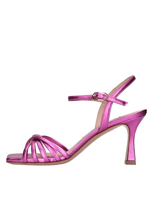 Fucsia