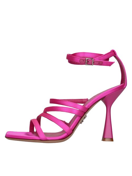 Fuchsia