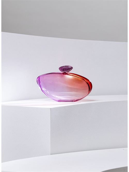 Viola