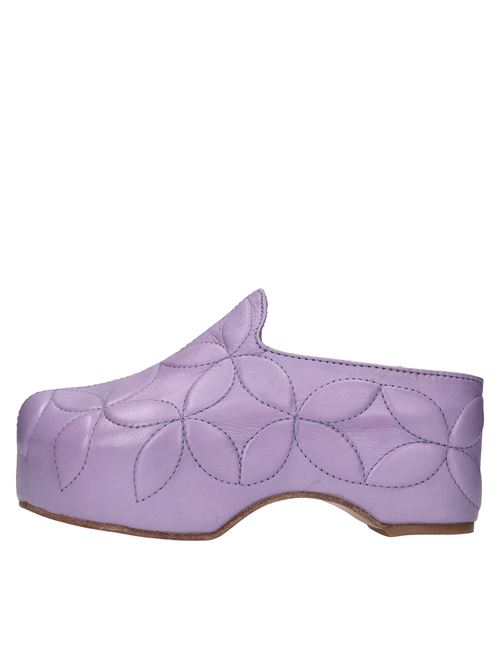 Viola