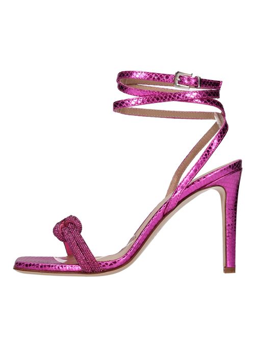 Fucsia